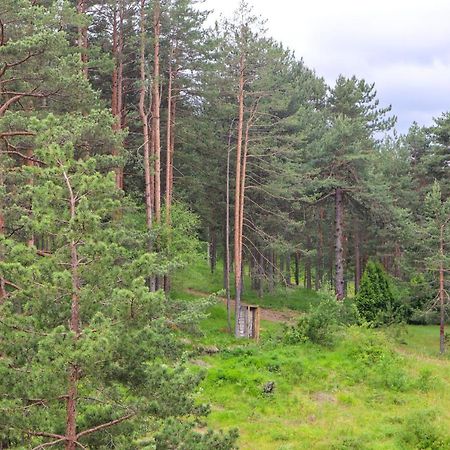 Zlatibor Holiday, Vila Leonardo VI Экстерьер фото
