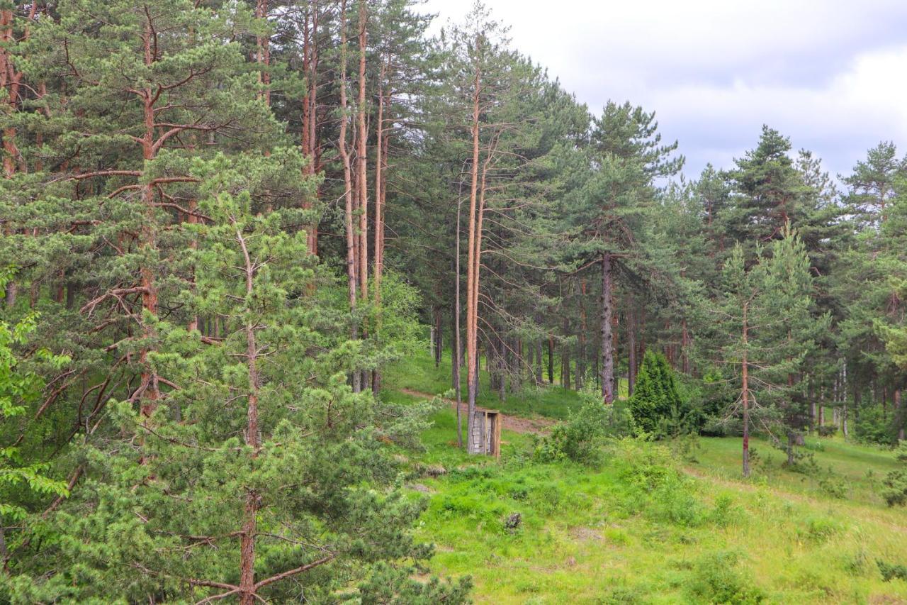 Апартаменты Zlatibor Holiday, Vila Leonardo VI Экстерьер фото