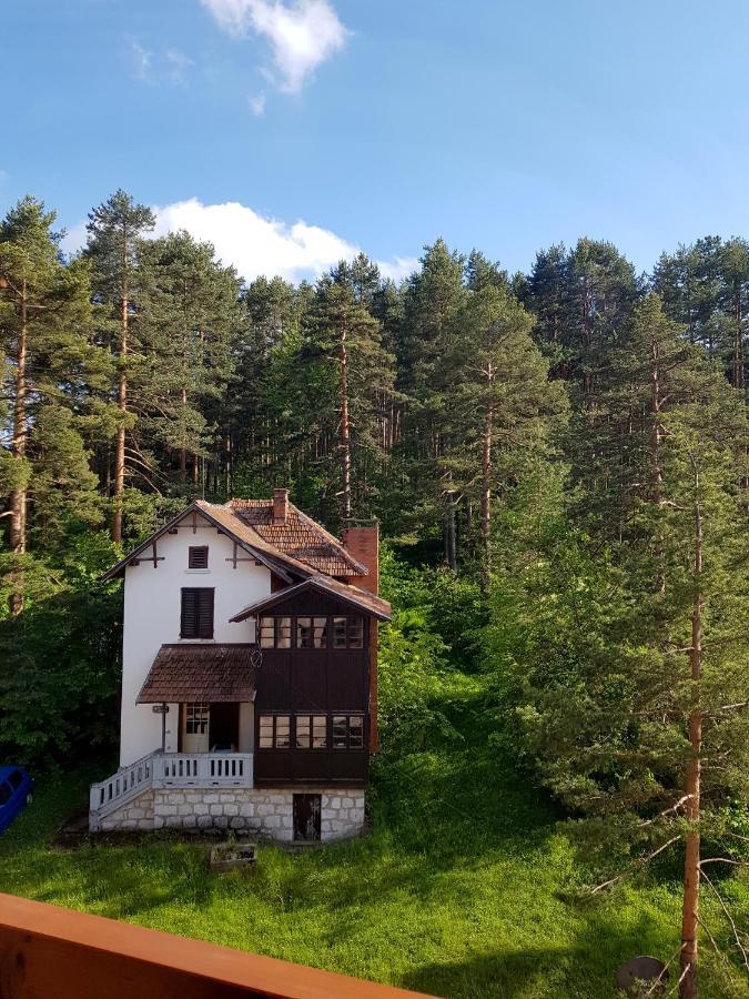 Апартаменты Zlatibor Holiday, Vila Leonardo VI Экстерьер фото