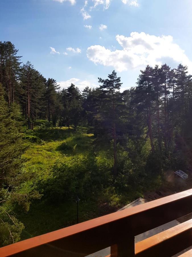 Zlatibor Holiday, Vila Leonardo VI Экстерьер фото